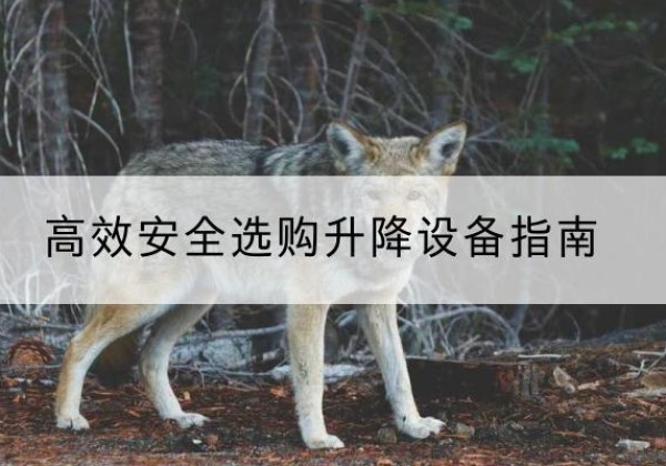 洛扎升降货梯厂家推荐-*安全选购升降设备指南