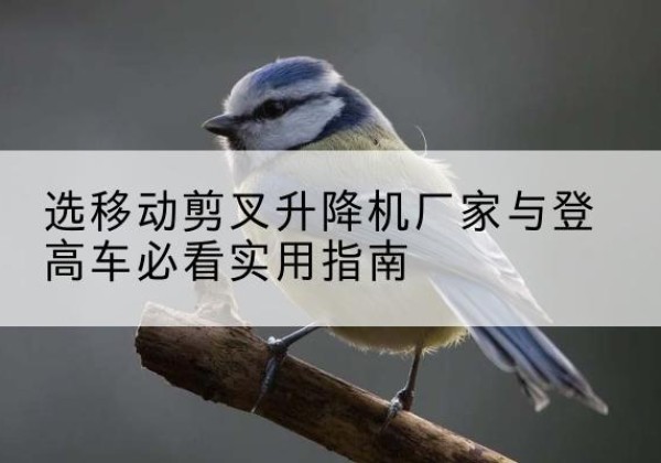 洛扎电动升降机厂家-选移动剪叉升降机厂家与登高车必看实用指南
