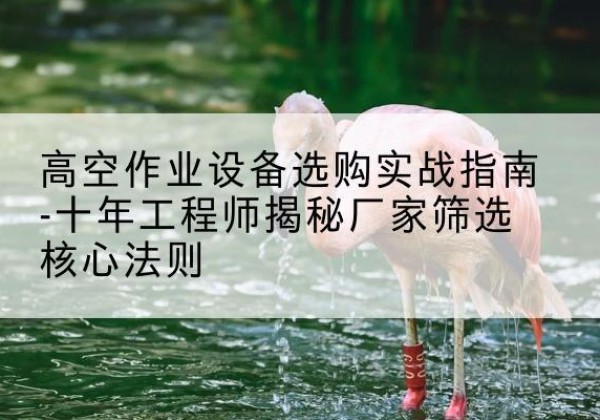 洛扎剪叉式升降机厂家-高空作业设备选购实战指南-十年工程师揭秘厂家筛选核心法则
