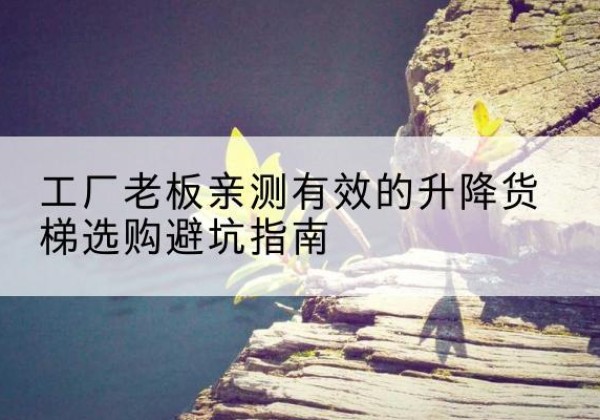 洛扎升降货梯怎么选-工厂老板亲测有效的升降货梯选购避坑指南